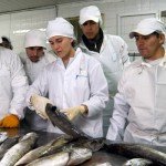Calidad sanitaria de alimentos