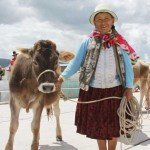 Comuneros reciben ayuda para impulsar actividad ganadera