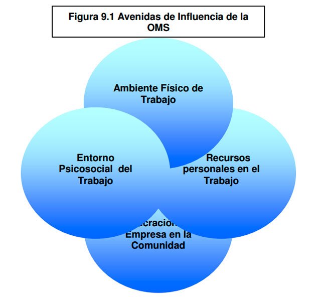 Modelo Para Crear Un Entorno Laboral Saludable Según La OMS