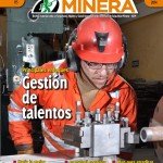 Seguridad Minera 115