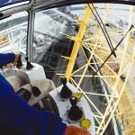 Algunos criterios de seguridad al operar grúas