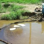 Biorremediación: técnicas empleadas para la recuperación de suelos