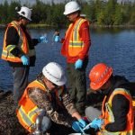 Crean asociaciones locales en programa de monitoreo para mejorar la gestión ambiental en Canadá