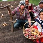 PERUMIN Inspira presenta los diez finalistas de emprendimiento social
