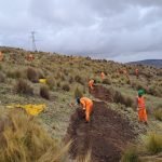 Reportan avance del 30% en la recuperación ambiental del proyecto Marcavalle Rural